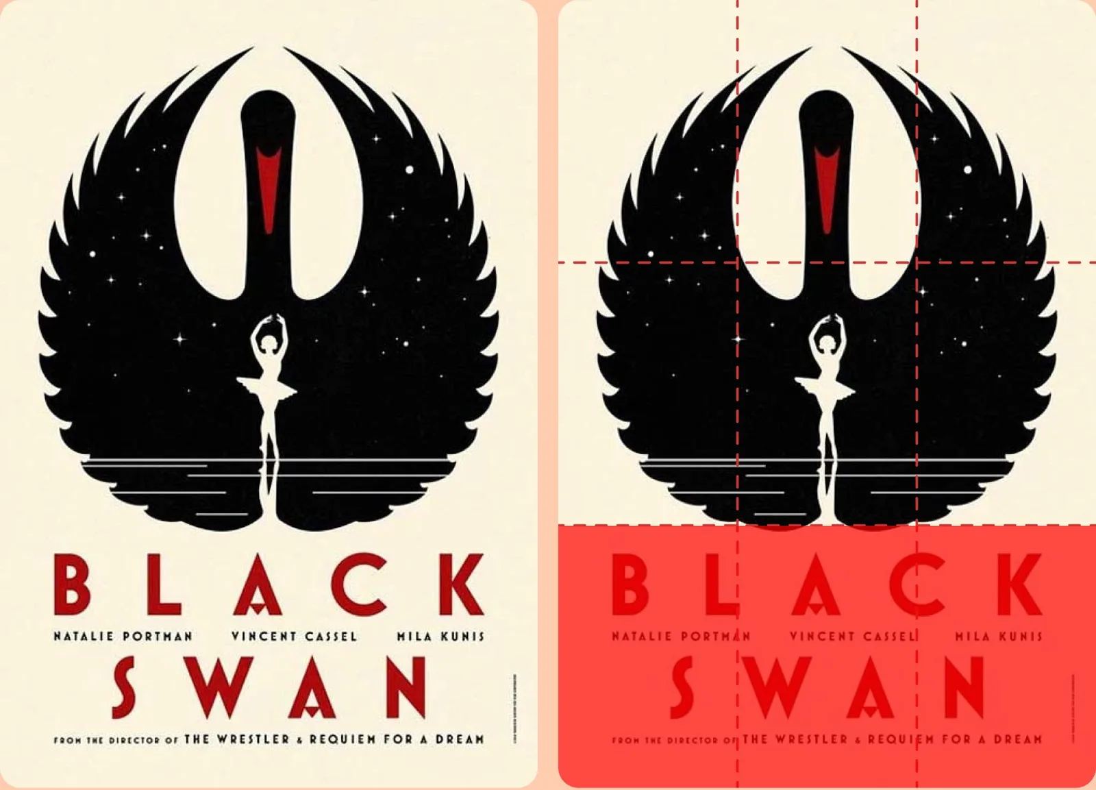 Black swan cover art