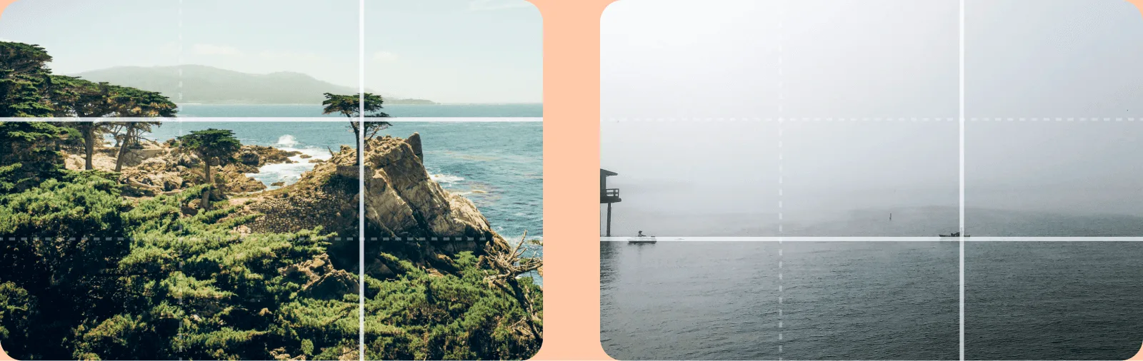 Lone Cypress tree and Santa Barbara Pier—Photo by Nate Kadlac